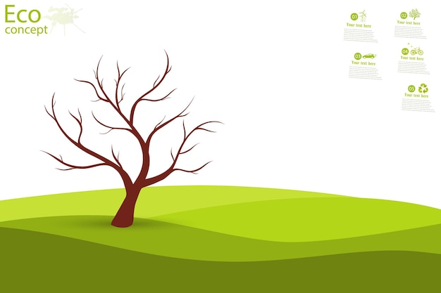 Tree on green grass Eco friendly The concept of ecology with the background of the tree