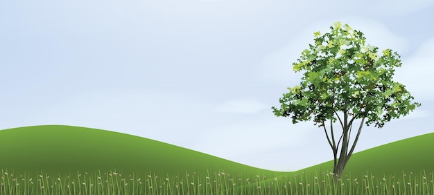 Tree in green grass hill area with blue sky. Vector illustration.