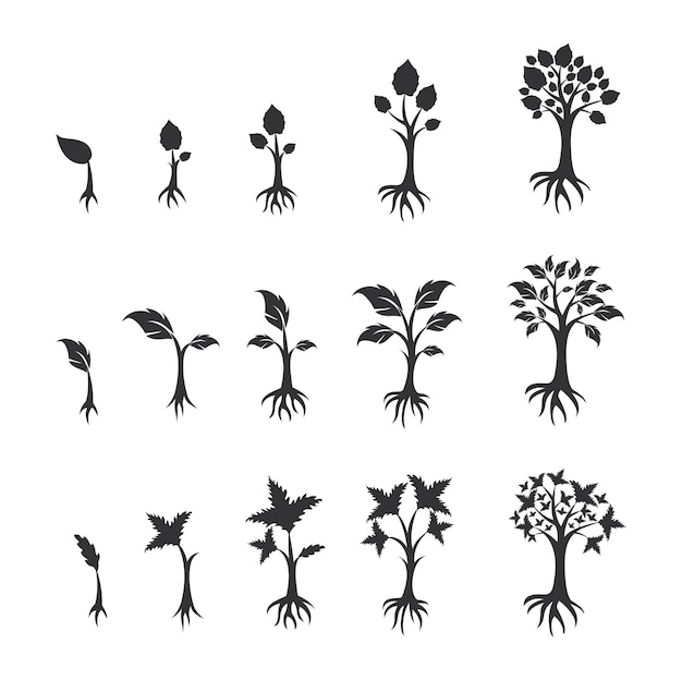 Tree Growing Silhouette vectors. Plant growing from seed to tree. Life cycle plant  Silhouette.