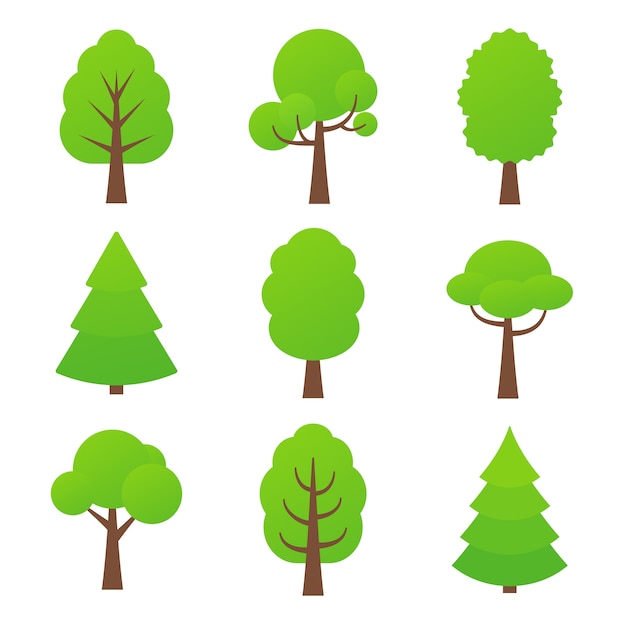 Tree icon.   illustration. Nature green forest plants.