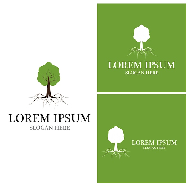 Tree icon and symbol vector template