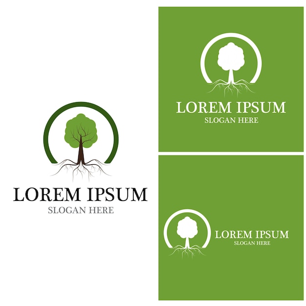 Tree icon and symbol vector template