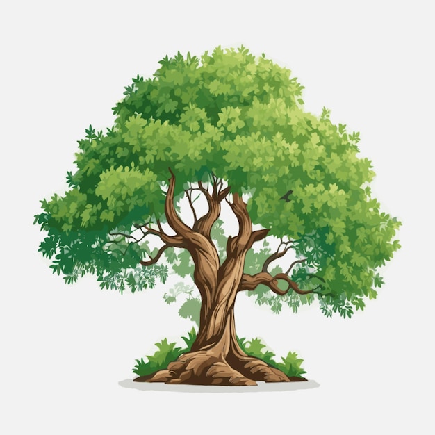 Tree illustration vector