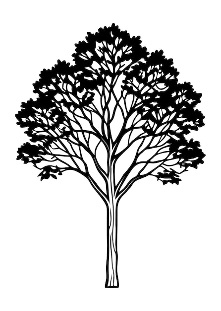 Vector a tree is drawn in black and white