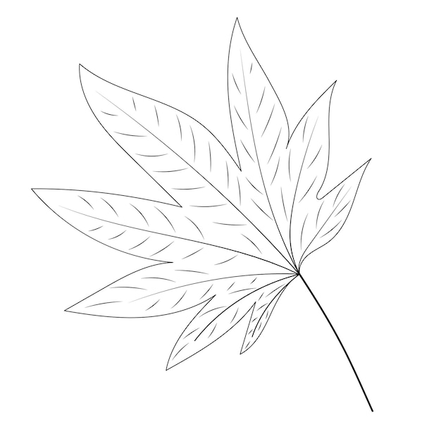 Tree leaf doodle on white background