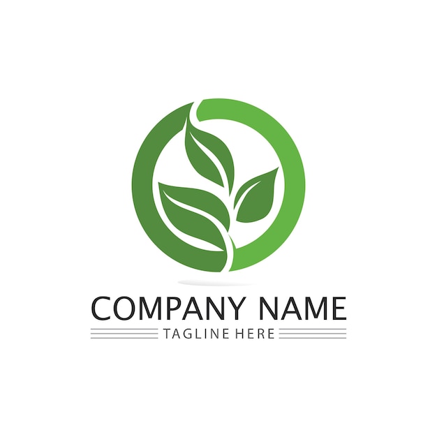 Tree leaf and green logo design friendly concept