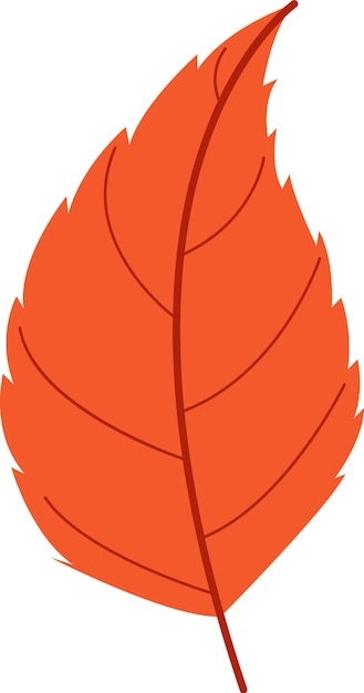 Tree Leaf Icon