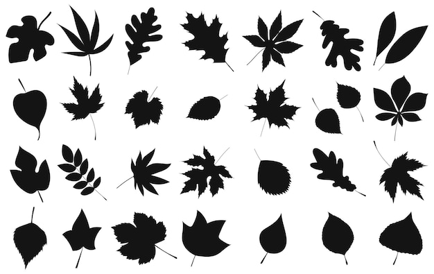 Tree leaf set silhouette on white background isolated vector