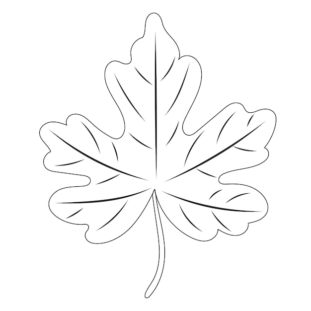 Tree leaf sketch on white background outline isolated vector