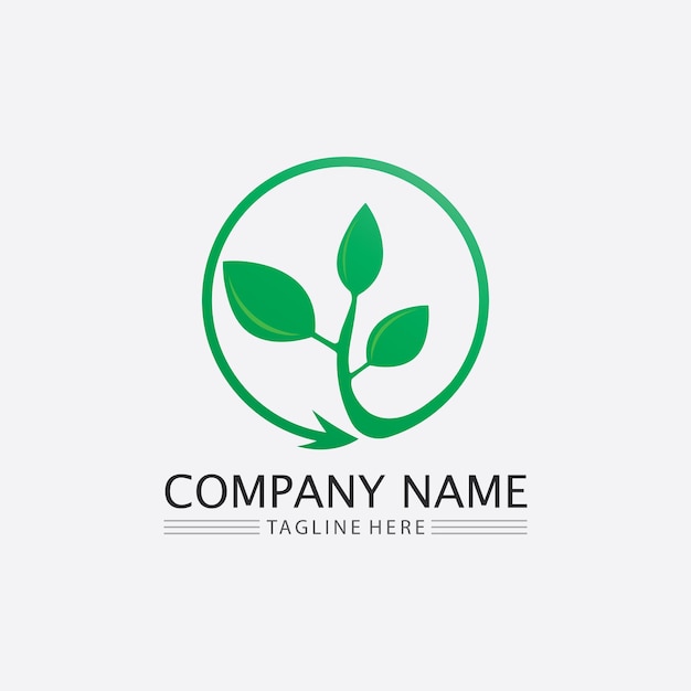 Tree leaf vector and green logo design friendly concept