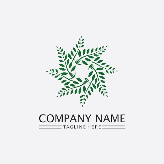 Tree leaf vector and green logo design friendly concept