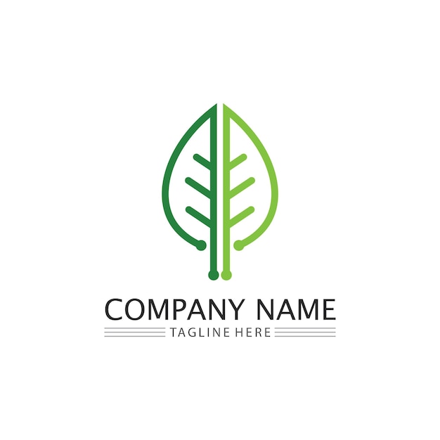 Tree leaf vector and green logo design friendly concept