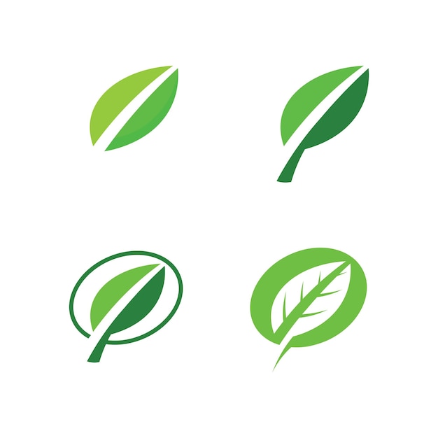 Tree leaf vector and green logo design friendly concept