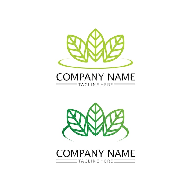 Tree leaf vector and green logo design friendly concept