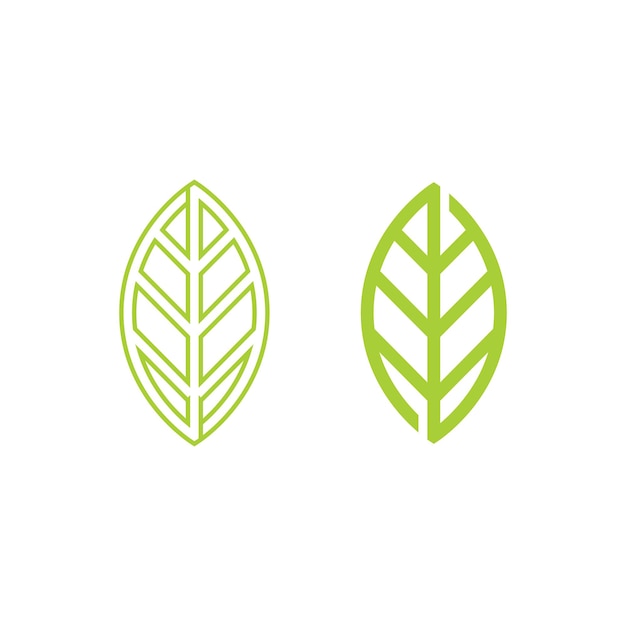 Tree leaf vector and green logo design friendly concept