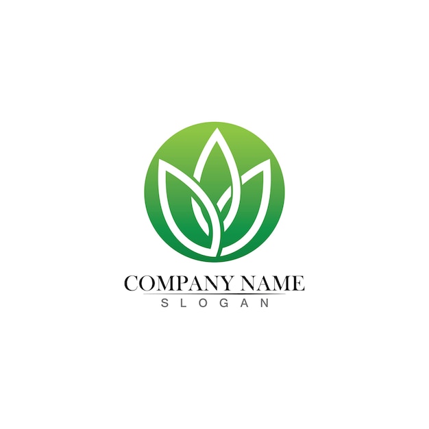 Tree leaf vector logo design, eco-friendly concept