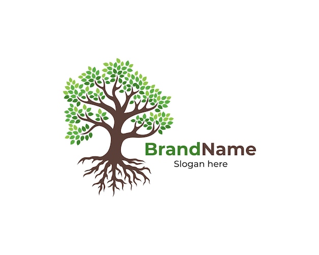 Tree logo and roots design