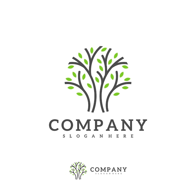 Tree logo vector template Creative Tree logo design concepts