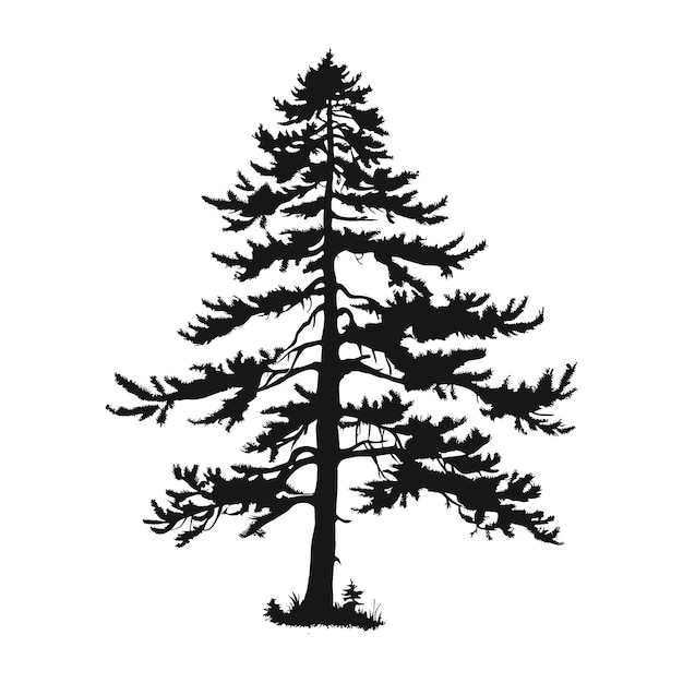 tree pine silhouette tattoo logo cypress tree evergreen cedar forest wood vector