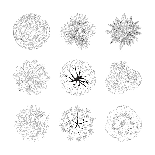 Vector tree plan top view set