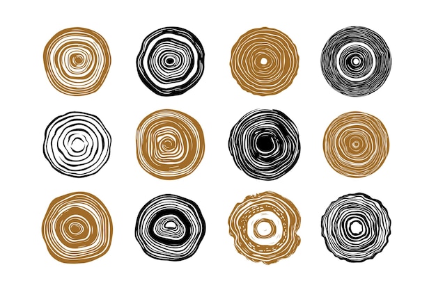 Tree ring wood circle set Hand drawn tree ring pattern Wood organic slice line design