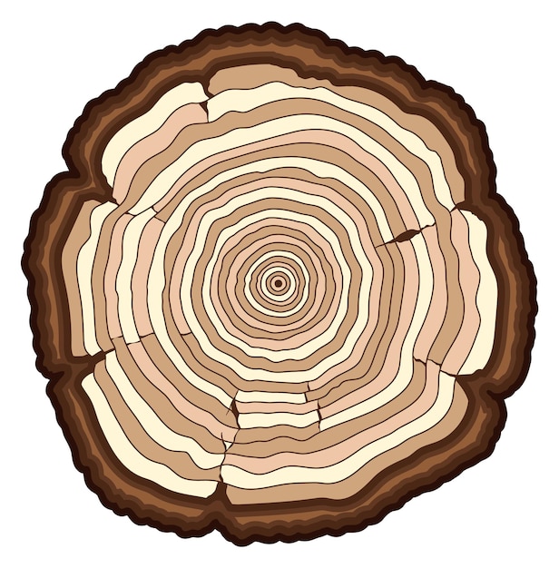 Tree rings Wooden saw cut color icon