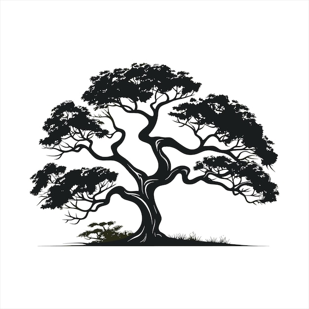 tree root logo