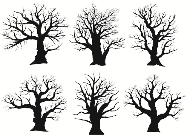 Tree set Silhouette isolated on white background, Black bare oak outline. Detailed image. Vector