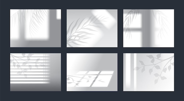 Tree shadow from window overlay Light leaves Monstera foliage and jalousie overlap effect Summer botanical sunlight shade mockup on wall Palm branches Vector geometric elements set