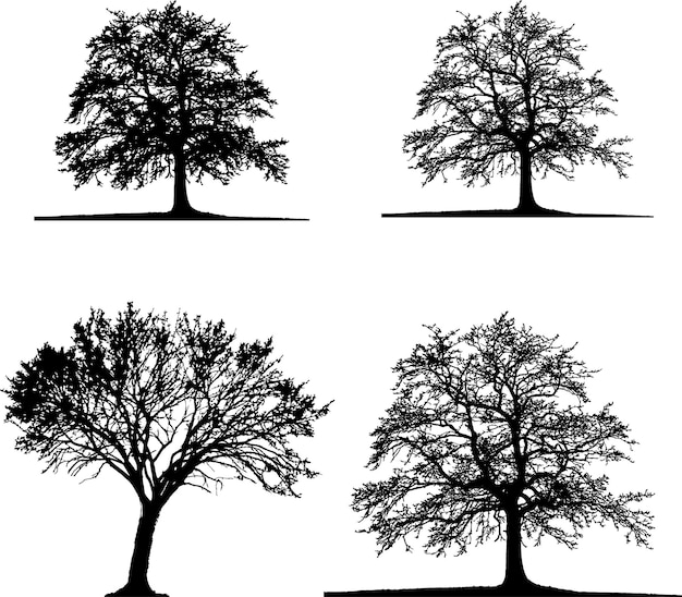 tree Shilhouette vector eps