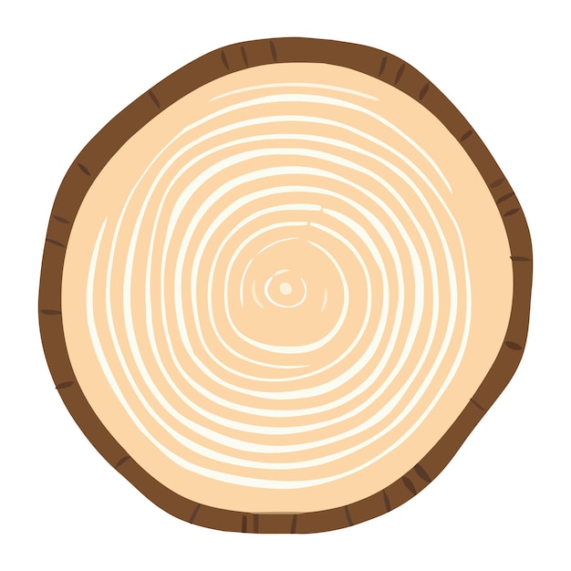 Tree trunk wood ring Tree trunk cross section wood slice cut isolated on white background