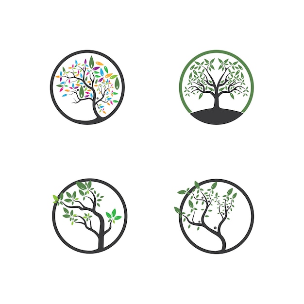 Tree Vector hand drawn illustration of Olive tree vector design template