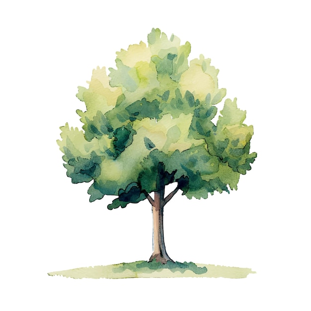 tree vector illustration in watercolor style