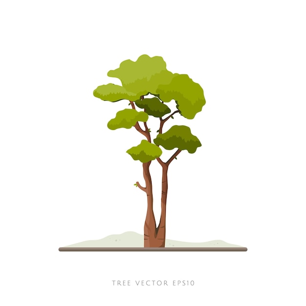 Tree vector illustration on white background landscape decoration element