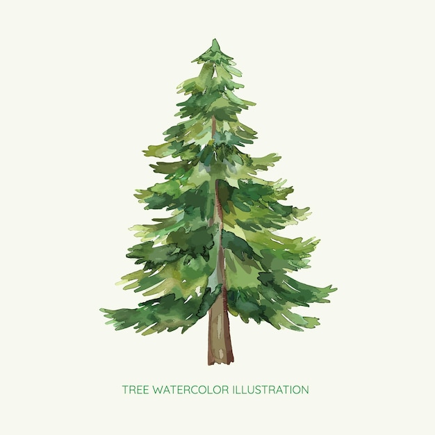 tree watercolor illustration