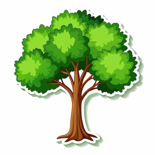 Vector a tree with green leaves sticker on a isolated white background 13