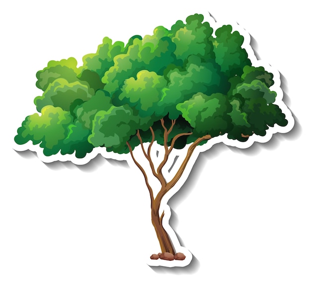 A tree with green leaves sticker on white background