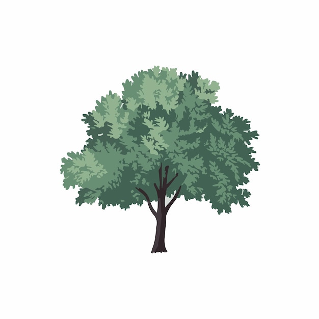 Vector a tree with green leaves and a white background