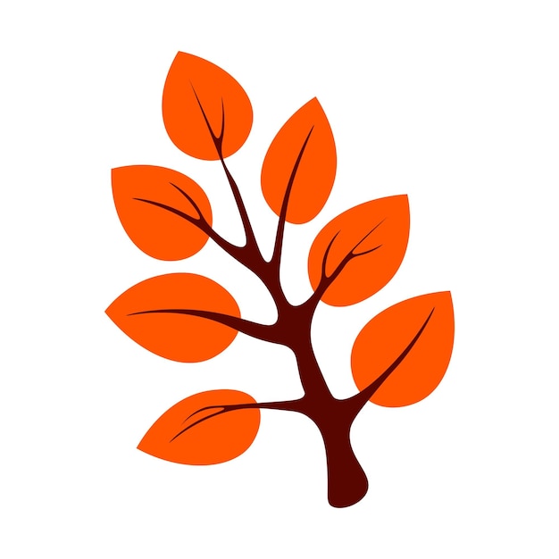 Tree with orange leaves on white background