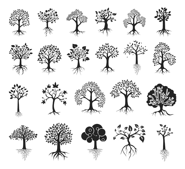 Tree With Roots Silhouettes Premium Vectors