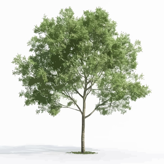 Vector a tree with a white background that has a picture of a tree with the word quot in the middle quot