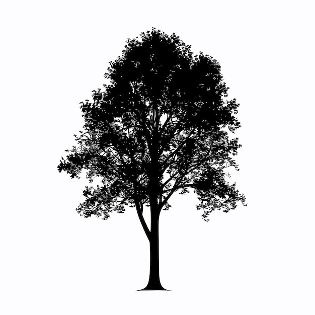 Vector a tree with a white background that says quot quot on it