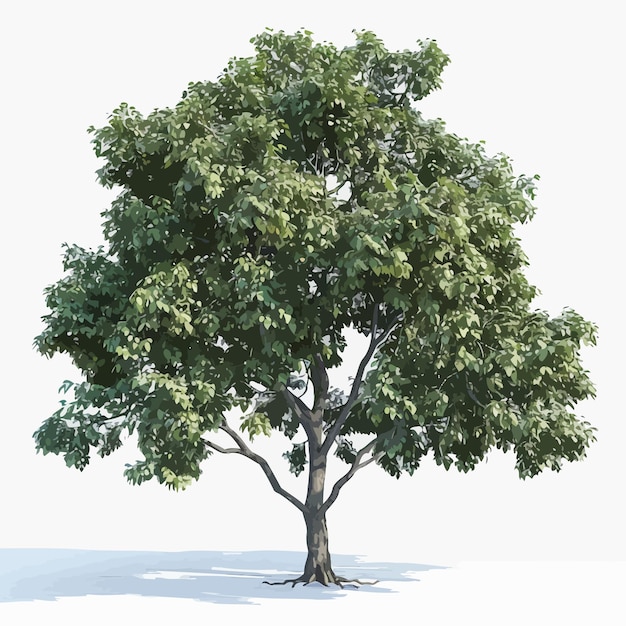 Vector a tree with a white background with a picture of a tree with the word quot tree quot on it