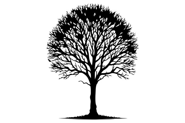 Vector tree without leaf silhouette vector style white background