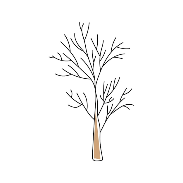 tree without leaves