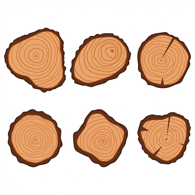 Tree wood ring flat icons set isolated