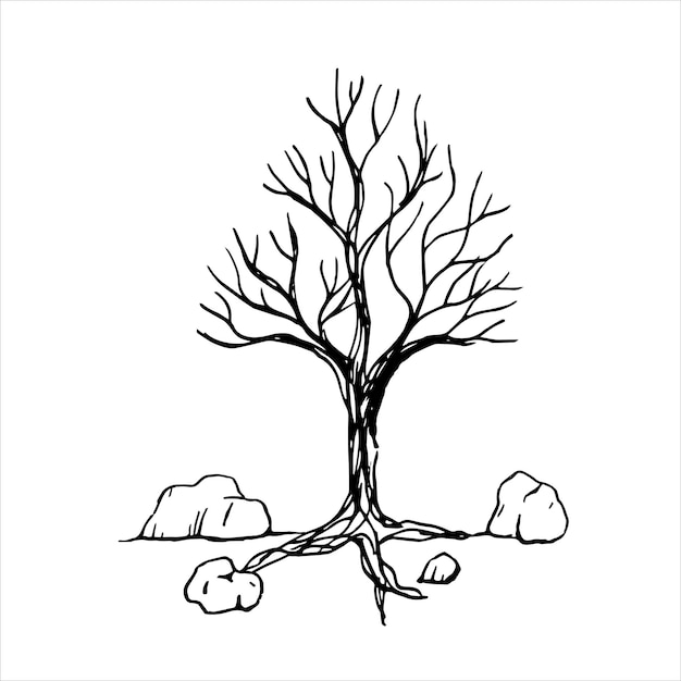 Trees in arid places lack moisture until they dry up and die retro old line art etching vector