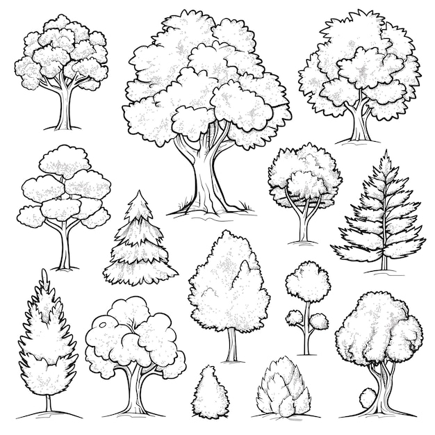 trees and bushes in different shapes