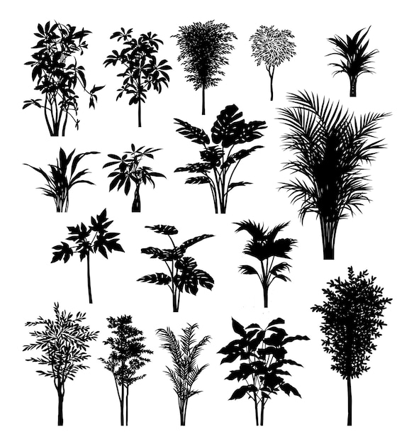 Trees palm plants silhouettes For sign symbol or icon