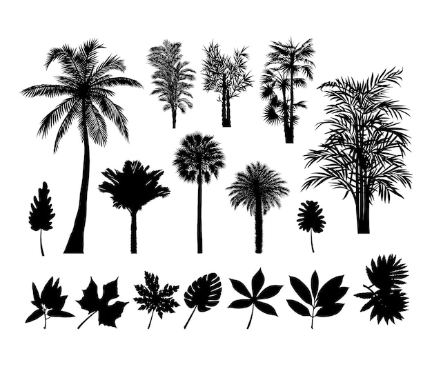 Trees palm plants silhouettes For sign symbol or icon